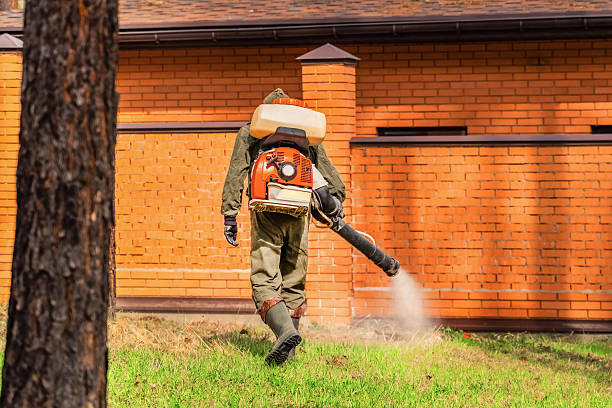 Trusted Rodent Control service in Southern Gateway, VA - Nex Pest Control